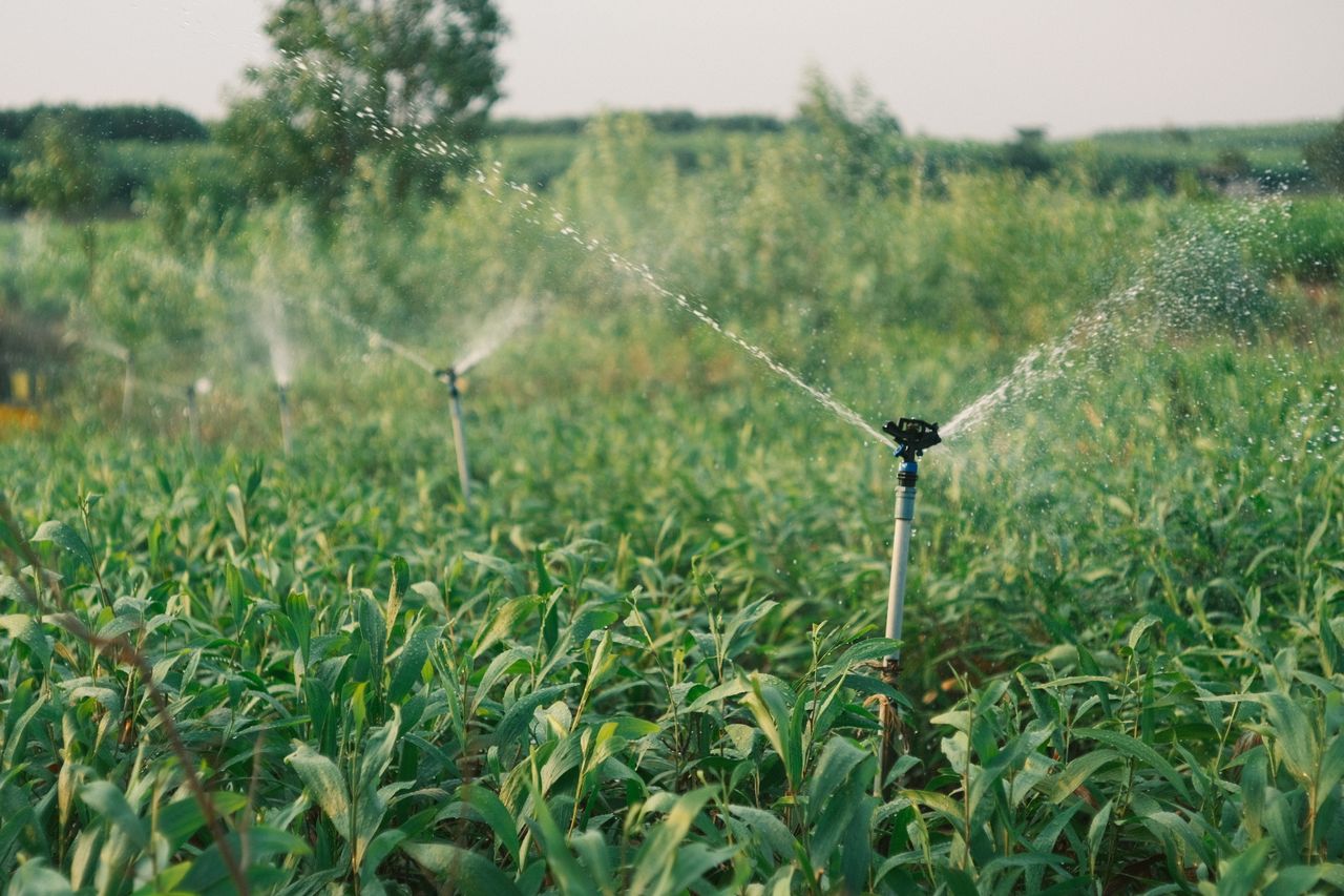 Smart irrigation in a park