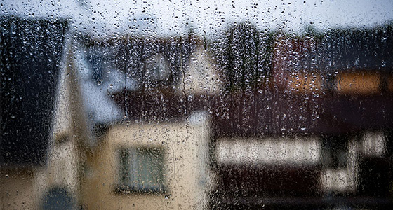 Mold prevention and damp monitoring in smart buildings